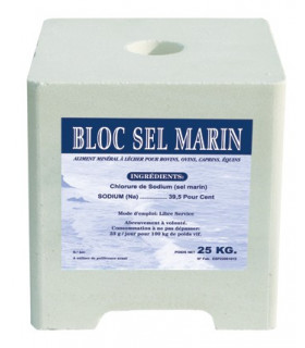 SEL MARIN - 4 BLOC DE 10 KG