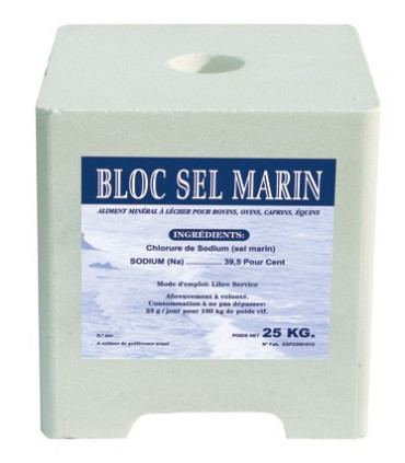SEL MARIN - 4 BLOCS DE 25 KG