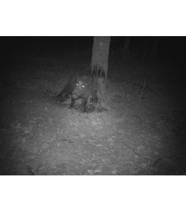 SCROLIQ - Carton de 6 bouteilles