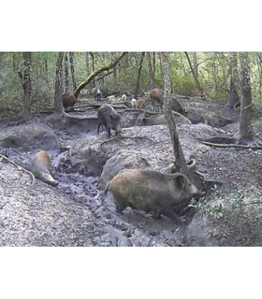 SCROFIX à partir de 5 sacs de 25 kg