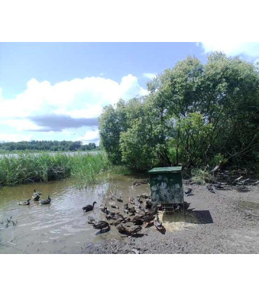 AGRAINOIR CANARD 250 L