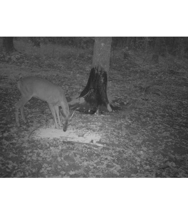 NATRON - Le seau de 20 kg par pack de 4